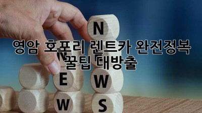 영암 호포리 렌트카 완전정복! 꿀팁 대방출 🚗💨